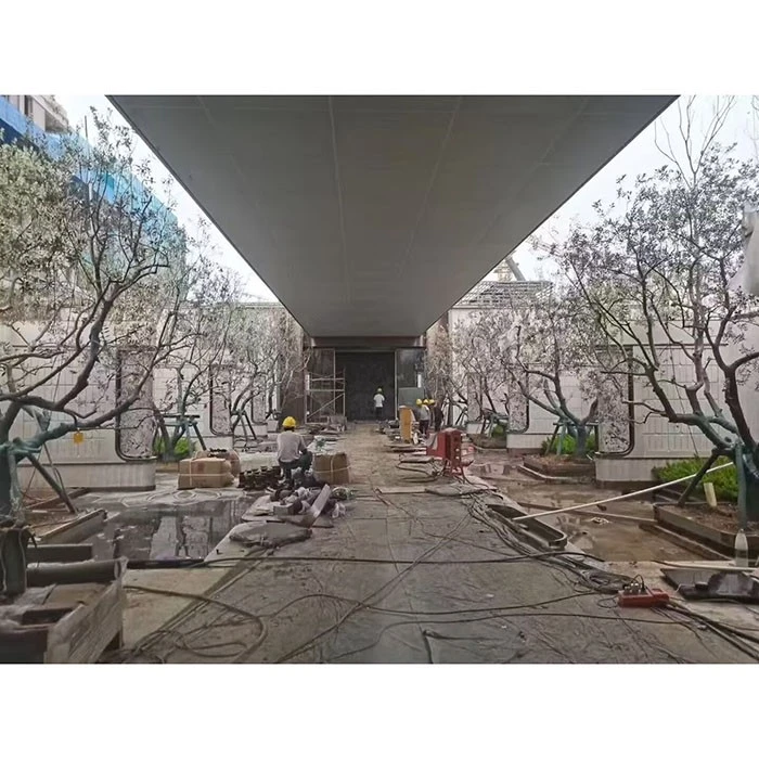 स्ट्रीट ऑलिव्ह ट्री
